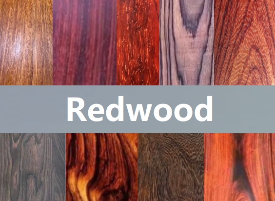 Redwood 113